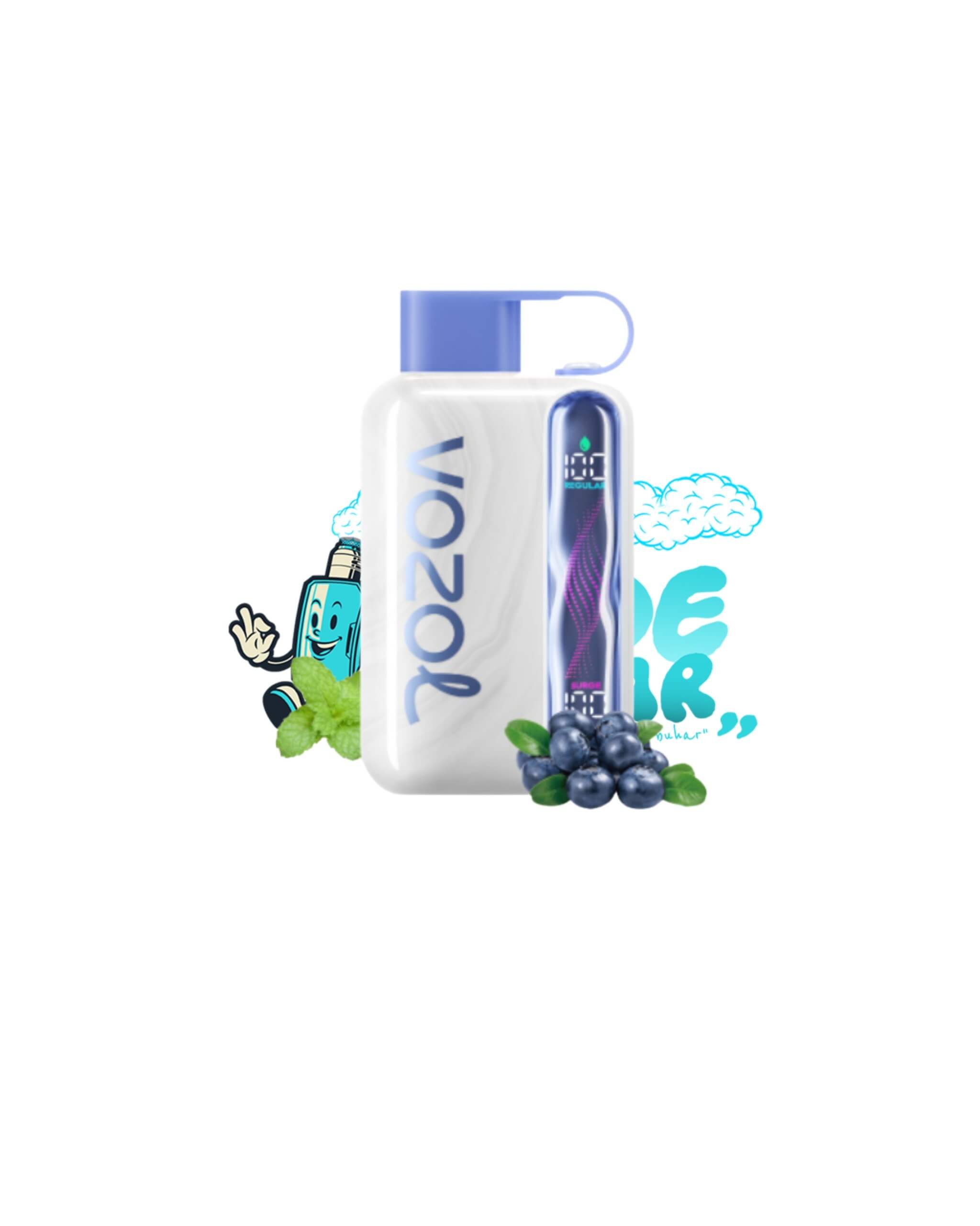 Vozol Star 40000 Blueberry Mint