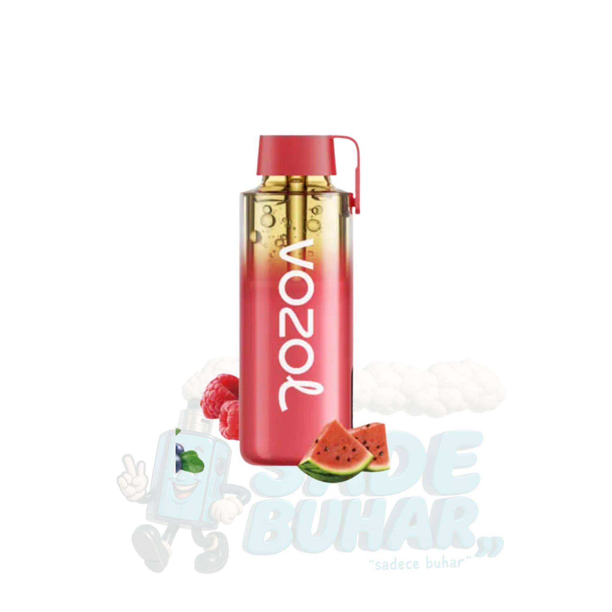 Vozol Neon Pro 12000 Raspberry Watermelon