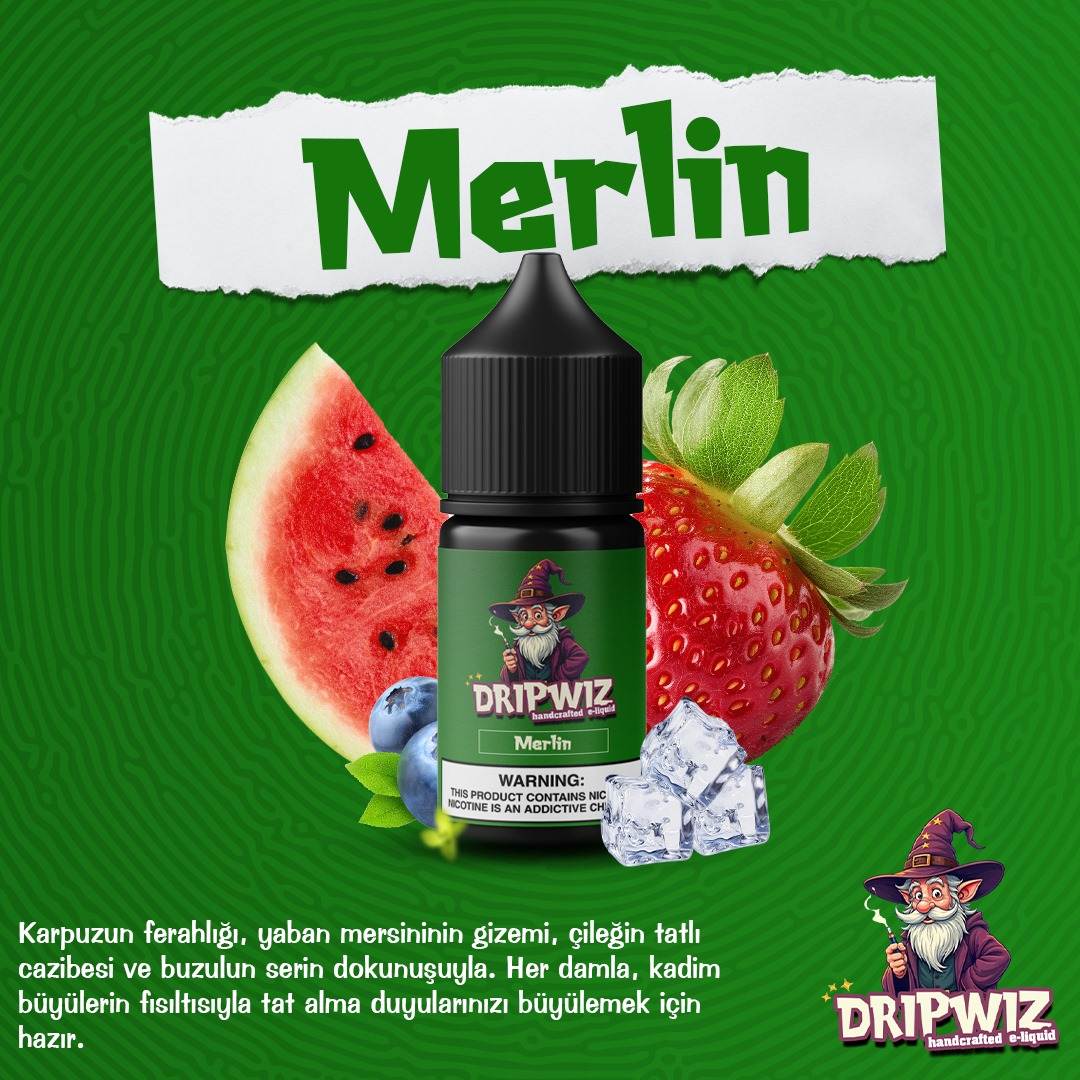 Dripwiz Merlin-Bareberry 30 ML