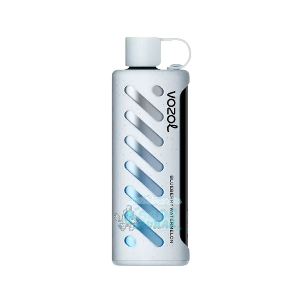 Vozol Shisha 25000 Puff Blueberry Watermelon