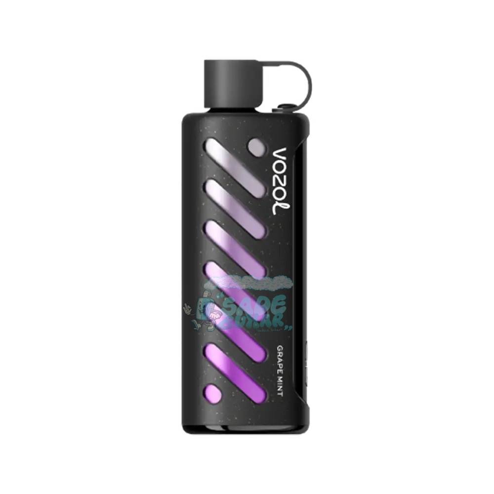 Vozol Shisha 25000 Puff Grape Mint