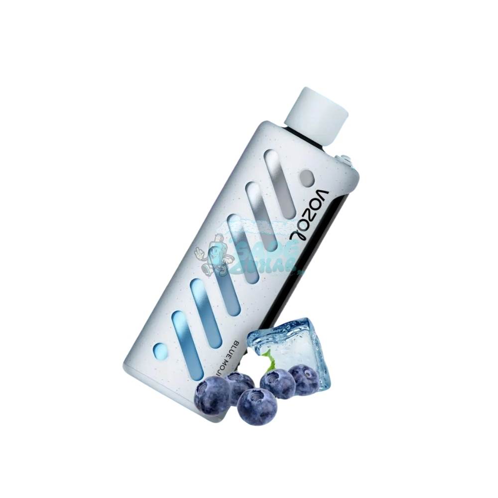 Vozol Shisha 25000 Puff Blue Mojito