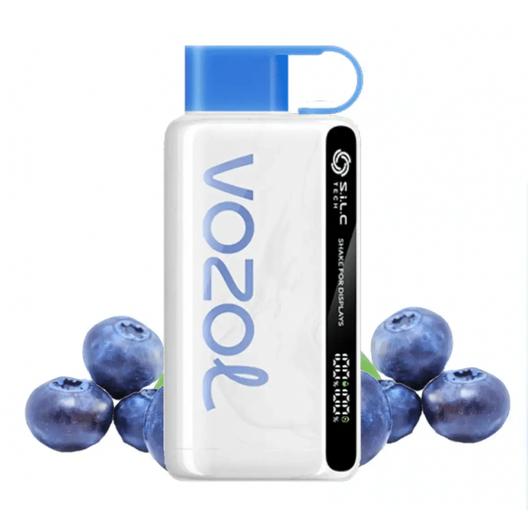Vozol 12000 Blueberry Storm
